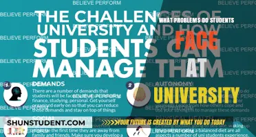 University Challenges: Overcoming Student Struggles