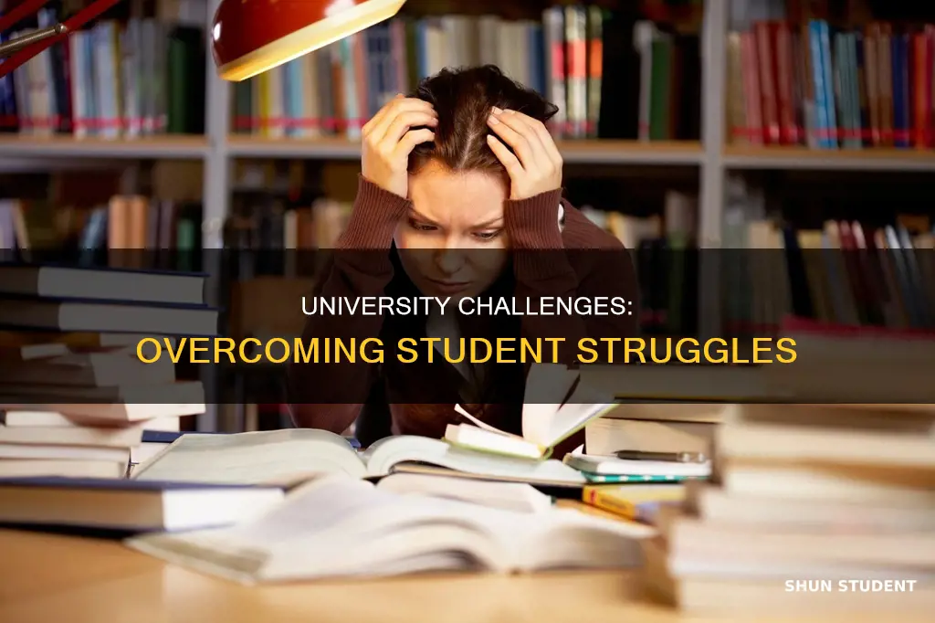 what problems do students face at university