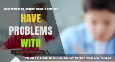 Understanding Learning Barriers: A Guide for Educators and Parents