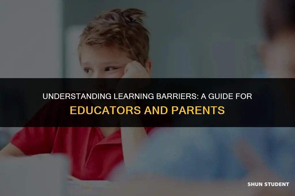what process do learning disabled students have problems with
