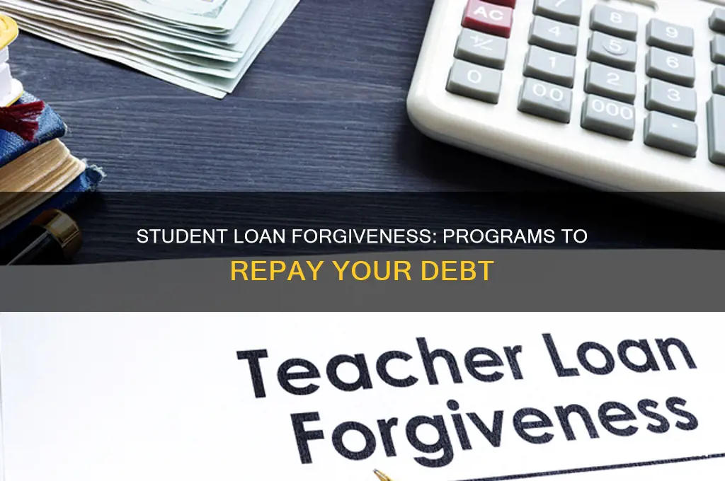 what programs pay off student loans
