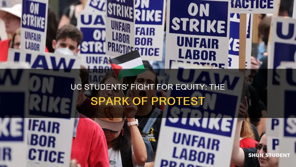 what prompted students from university of california to protest