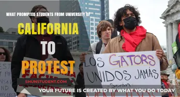 Students' Uprising: Protests at University of California