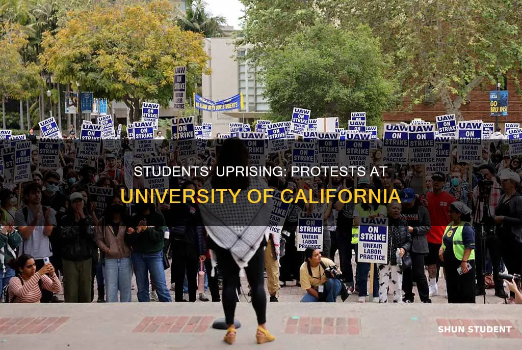 what prompted students from university of california to protest