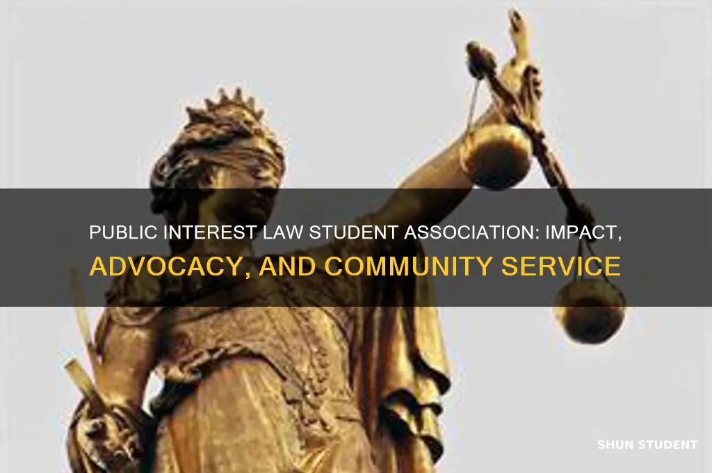 what public interest law student association do