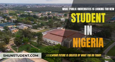 Unlocking Success: Nigeria's Public Universities' Criteria for New Students