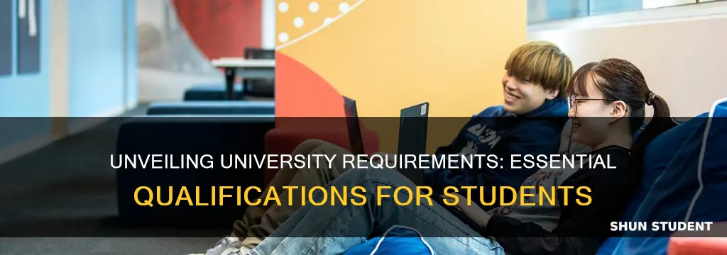 what qualifications do students need to attend university