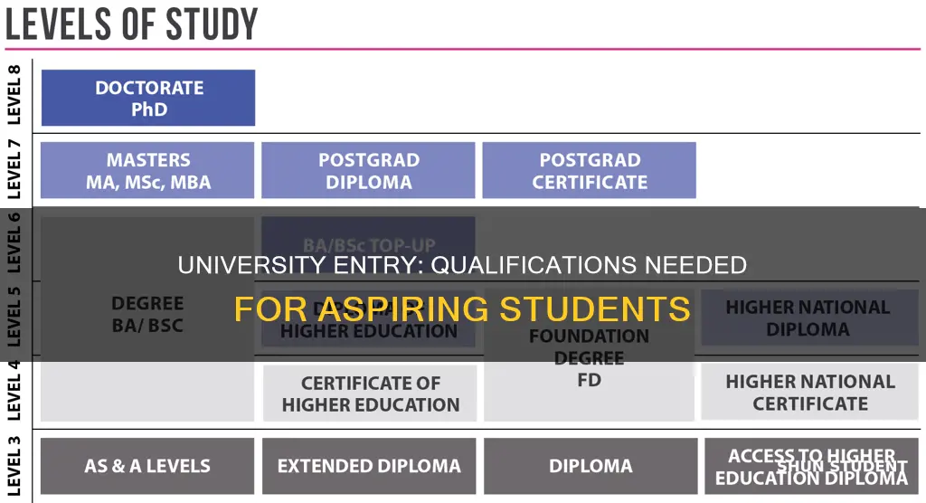what qualifications do students need to attend university