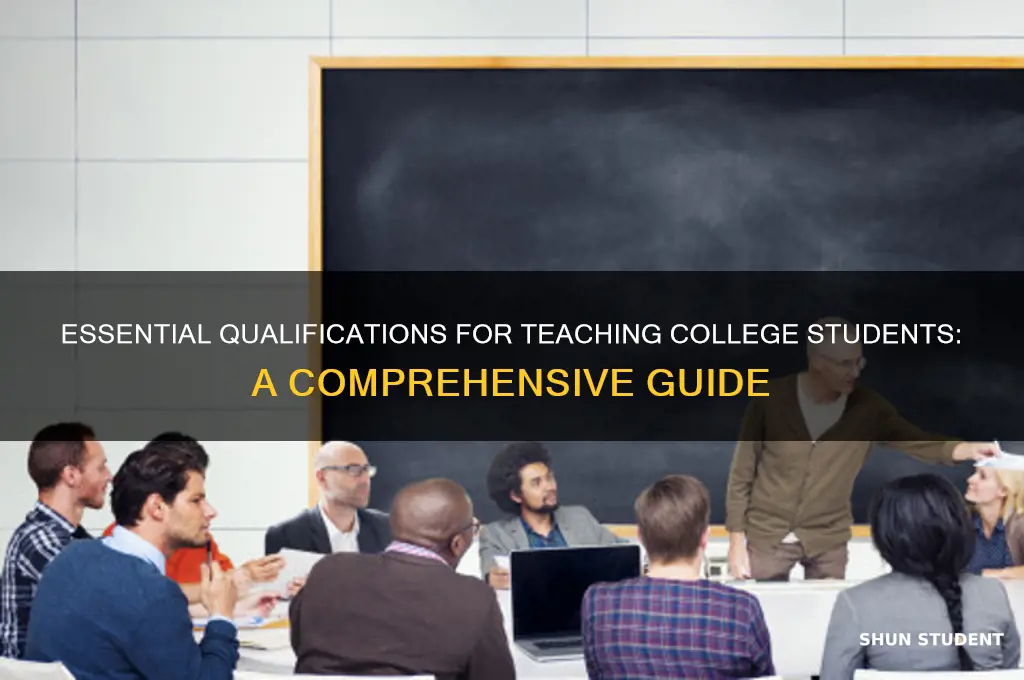 what qualifications do you need to teach college students