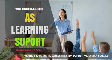 Unlocking Potential: What Qualifies a Student for Learning Support?