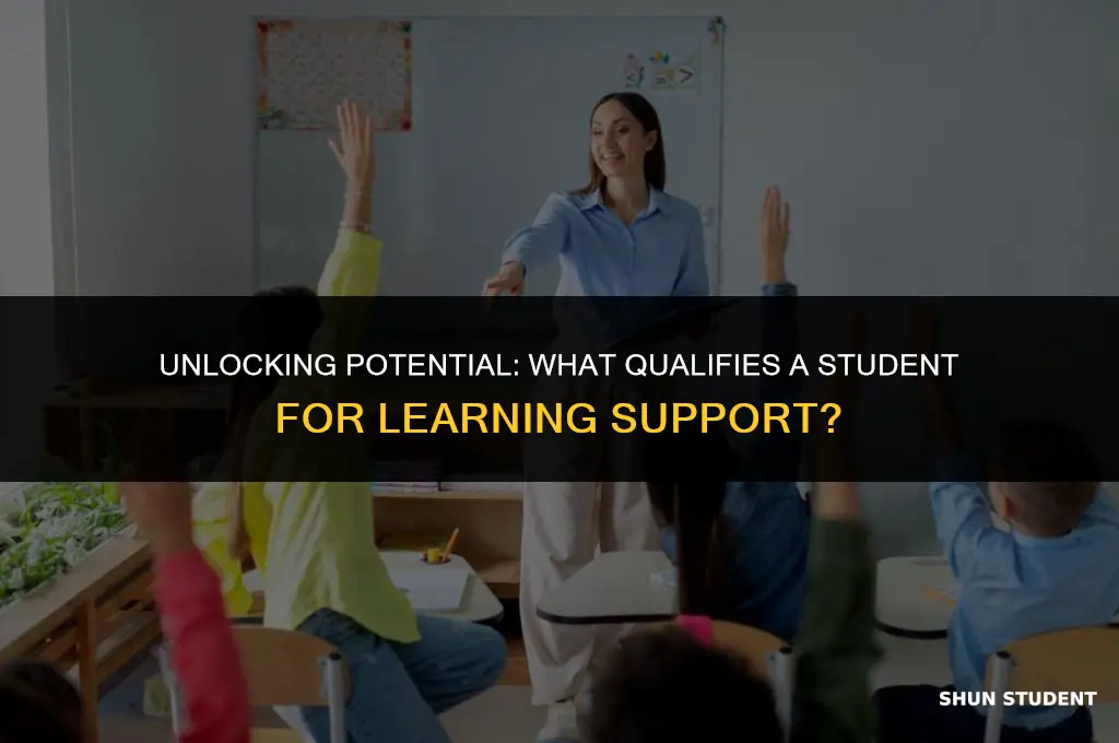 what qualifies a student as learning suport
