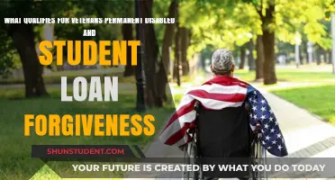 Veterans' Permanent Disability and Student Loan Forgiveness: Eligibility Explained