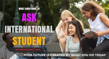 Ask International Students: Their Insights and Experiences