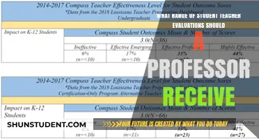 Understanding the Ideal Student Teacher Evaluation Range for Professors