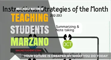 What Really Matters: Mastering Marzano's Strategies for Effective Teaching