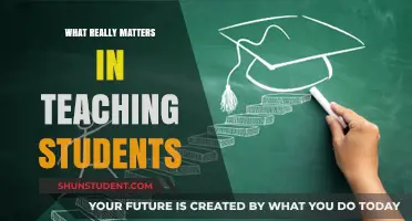 Fostering Growth: Core Principles That Truly Matter in Student Teaching