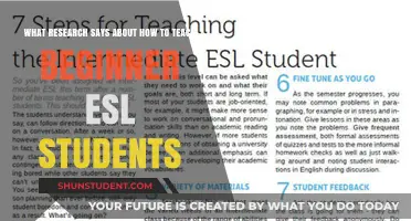 Effective Strategies for Teaching Beginner ESL Students: Insights from Research