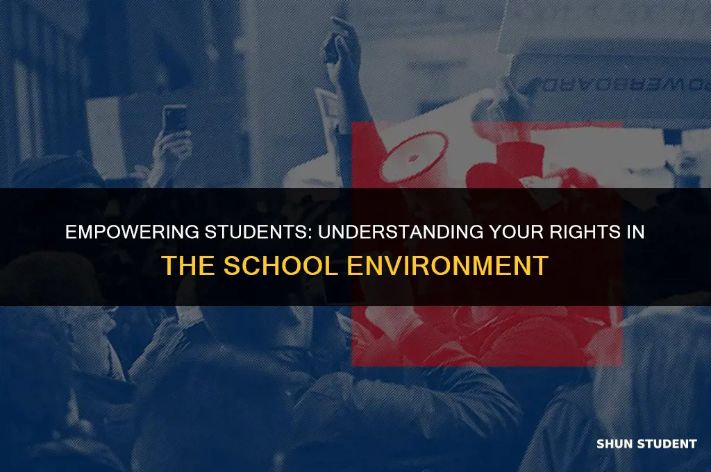 what rights do students have in school