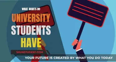 Unraveling the Rights: A Guide to University Student Entitlements