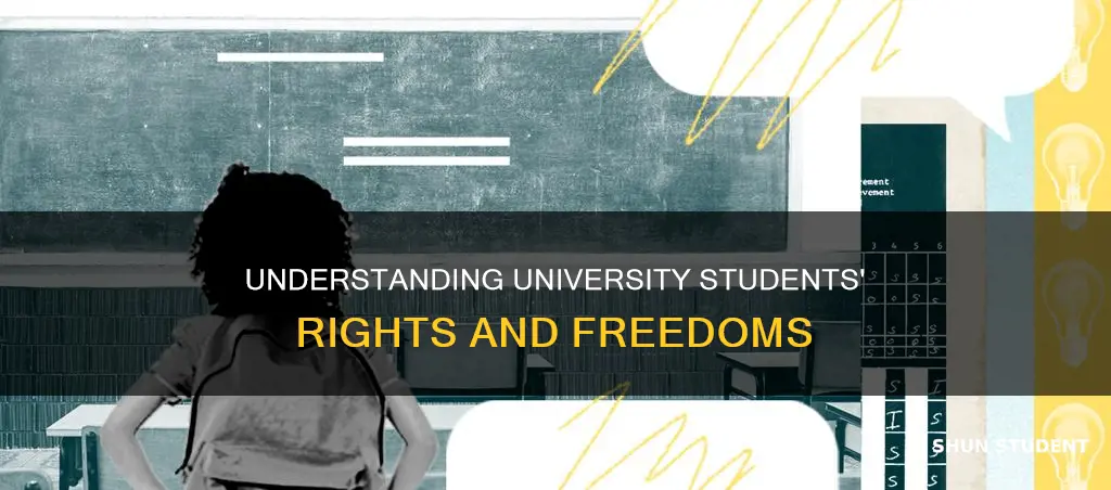 what rights do university students have