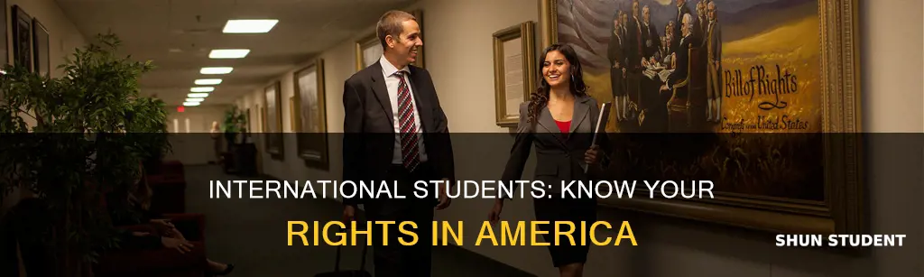 what rights do we have as international students in america
