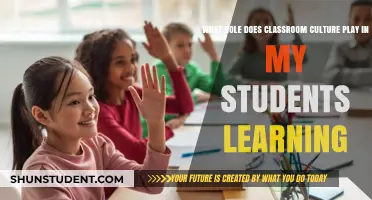 Fostering Growth: The Power of Classroom Culture in Student Learning