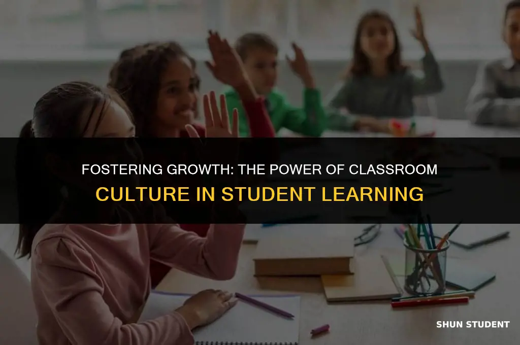 what role does classroom culture play in my students learning