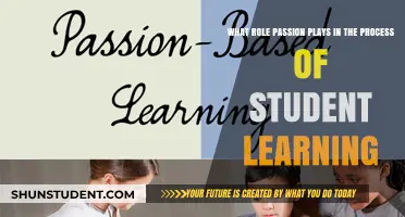 Igniting Minds: The Power of Passion in Student Learning