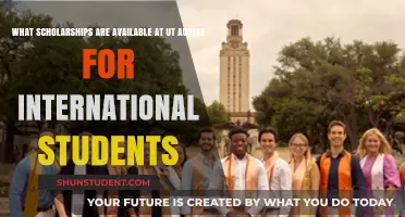 International Student Scholarships at UT Austin
