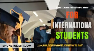 International Student Scholarships: Available Opportunities