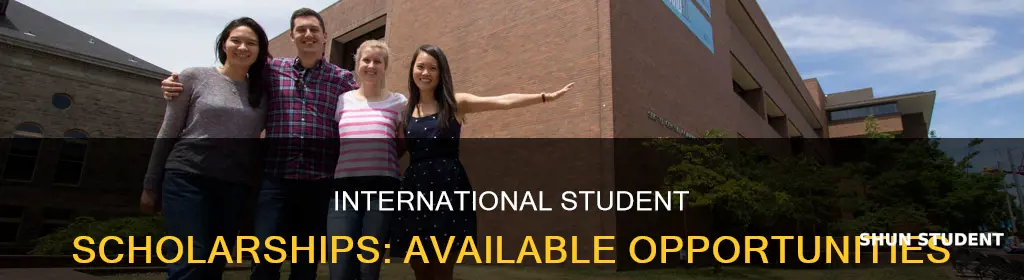 what scholarships are available for international students