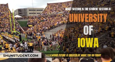 Unveiling the Location: Student Section at UIowa