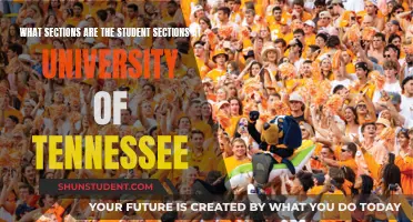 Unveiling Tennessee's Campus: Exploring Student Life at UT