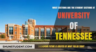 Student Sections at University of Tennessee: Where to Sit?
