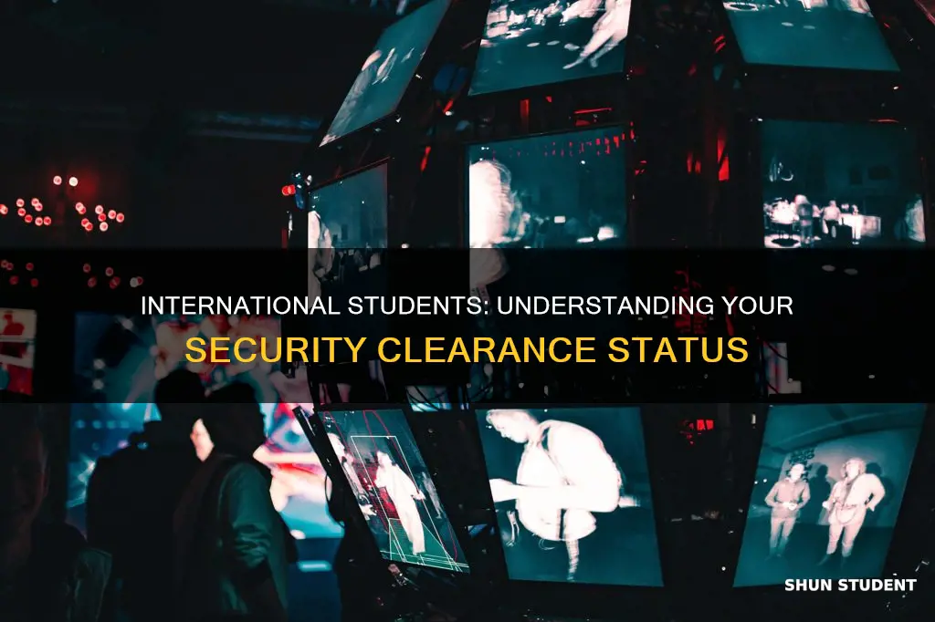 what security clearence does international students have