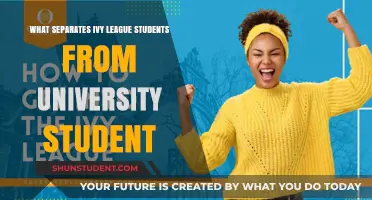 Ivy League vs University: What Sets Them Apart?