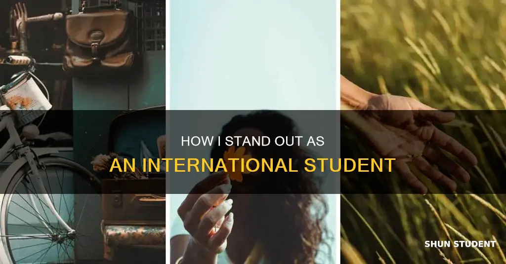 what sets you apart from other candidates international student