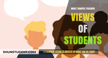 Understanding Factors That Shape Teacher Perceptions of Students' Potential