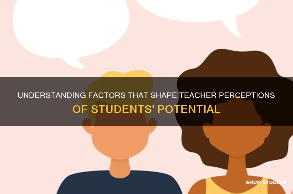 what shapes teacher views of students