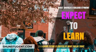 Unlocking Knowledge: A College Student's Guide to Learning Expectations