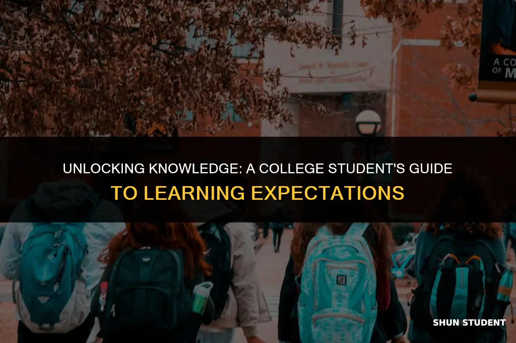 what should a college student expect to learn
