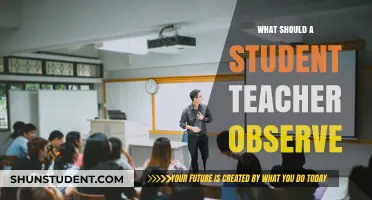 Key Observations for Student Teachers: Enhancing Classroom Learning and Engagement
