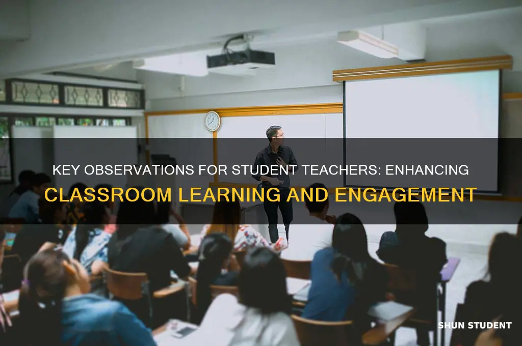 what should a student teacher observe