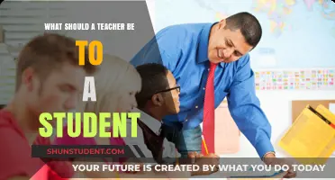 A Teacher's Role: Mentor, Guide, and Inspiration for Students