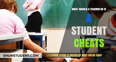 Addressing Academic Dishonesty: A Teacher's Guide to Handling Cheating Students