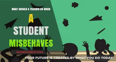 Effective Strategies for Teachers to Handle Student Misbehavior in Class