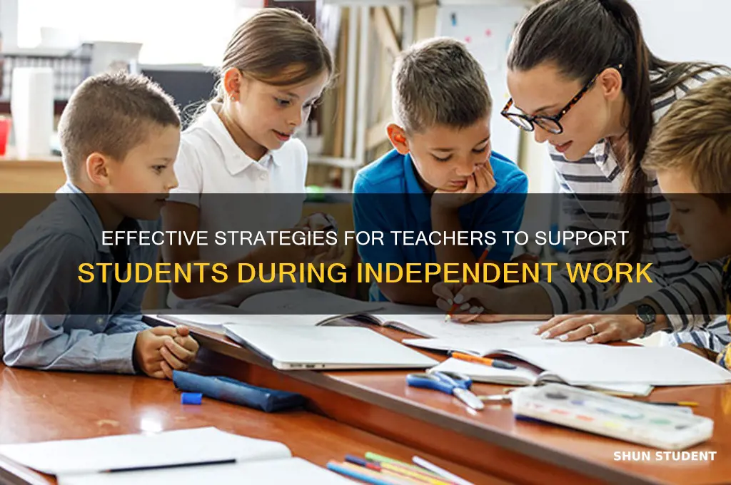what should a teacher do while students work