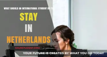Staying in the Netherlands: A Guide for International Students