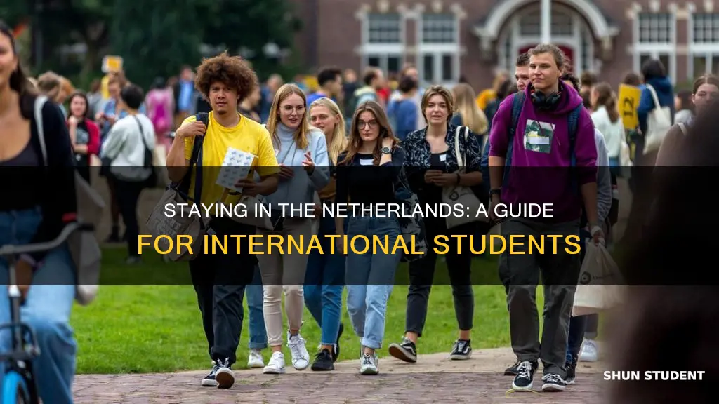 what should an international student do to stay in netherlands