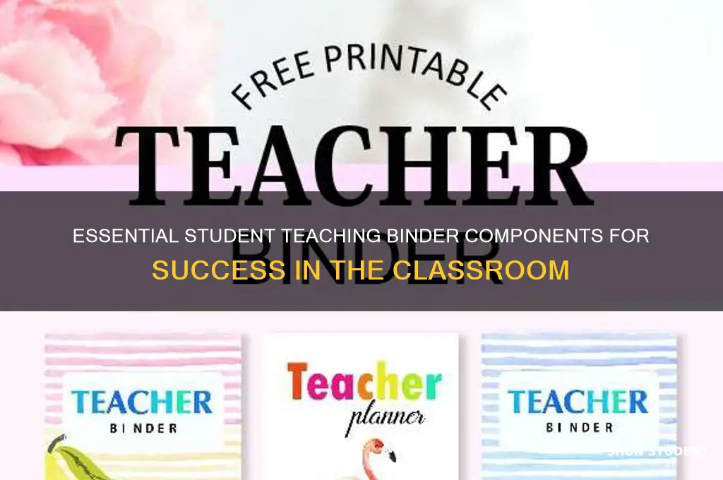 what should be in a student teaching binder
